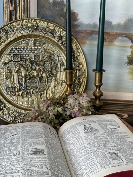 Vintage Brass English Riding Plates set of 2