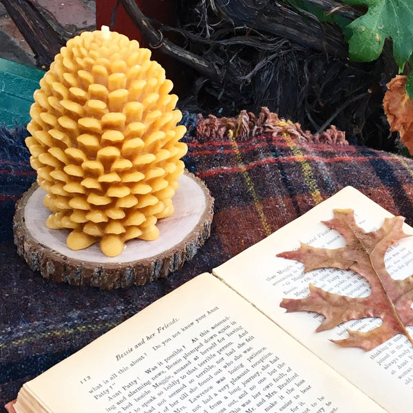 Beeswax Large Pine Cone Pillar